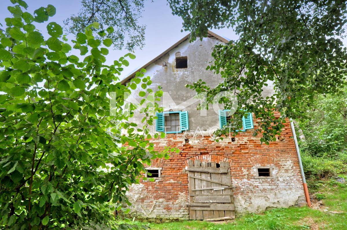 Blick auf Eingang des Erdkellers und Fenster des Wohn- Schlafzimmers