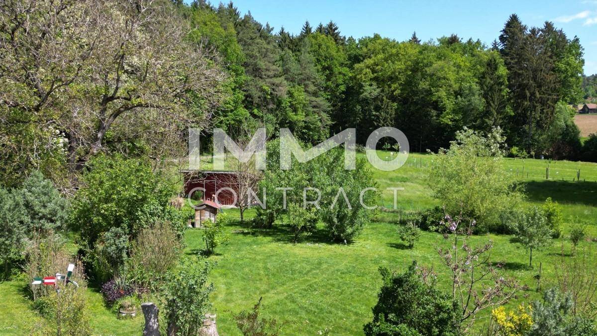 Blick auf den Garten links vom Haus