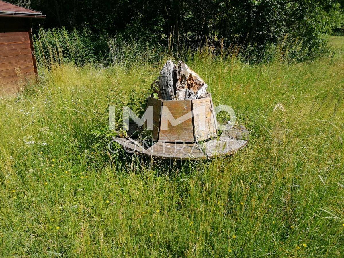 Sitzgelegenheit im Naturgarten