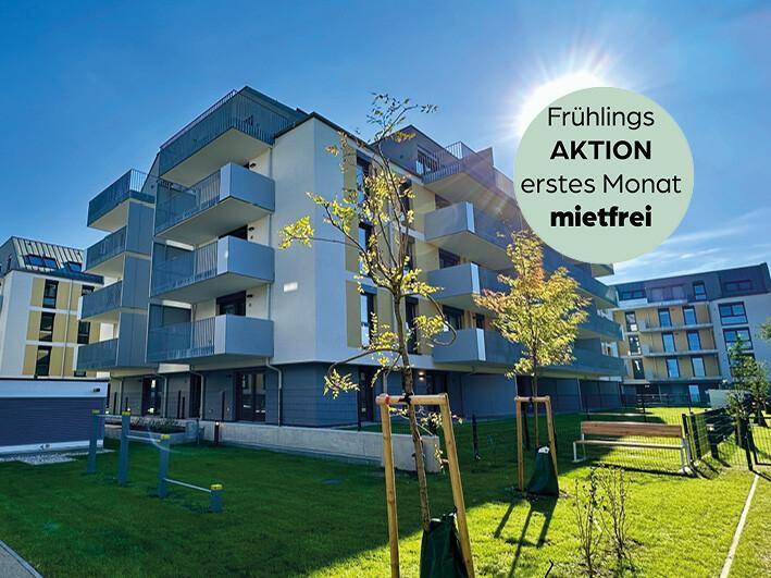 Frühling (1)