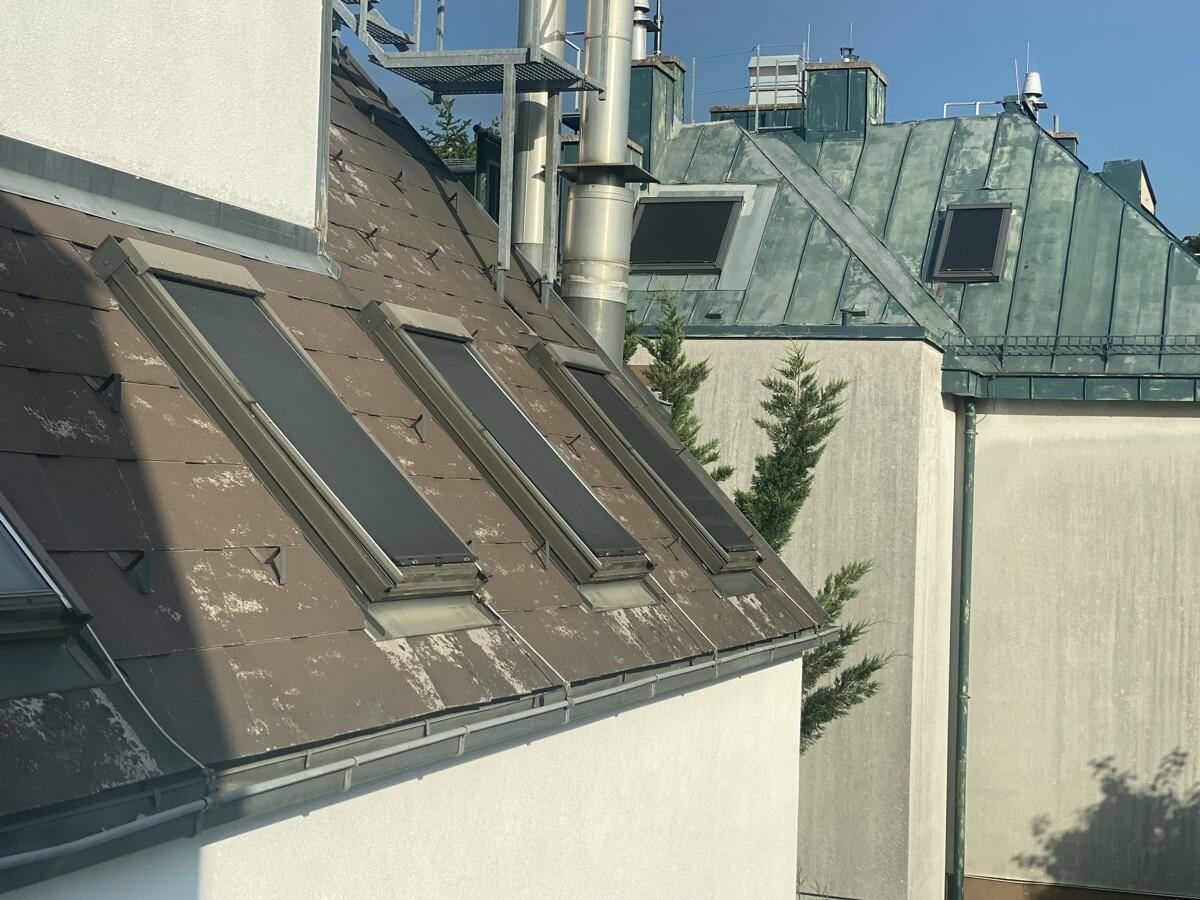 Blick auf die eigene Dachflächen