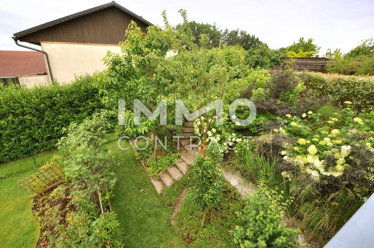 Garten vor der Terrasse