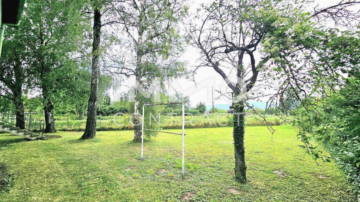 Garten 1