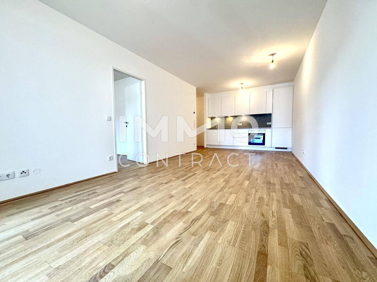 Wohnraum und Küche 2