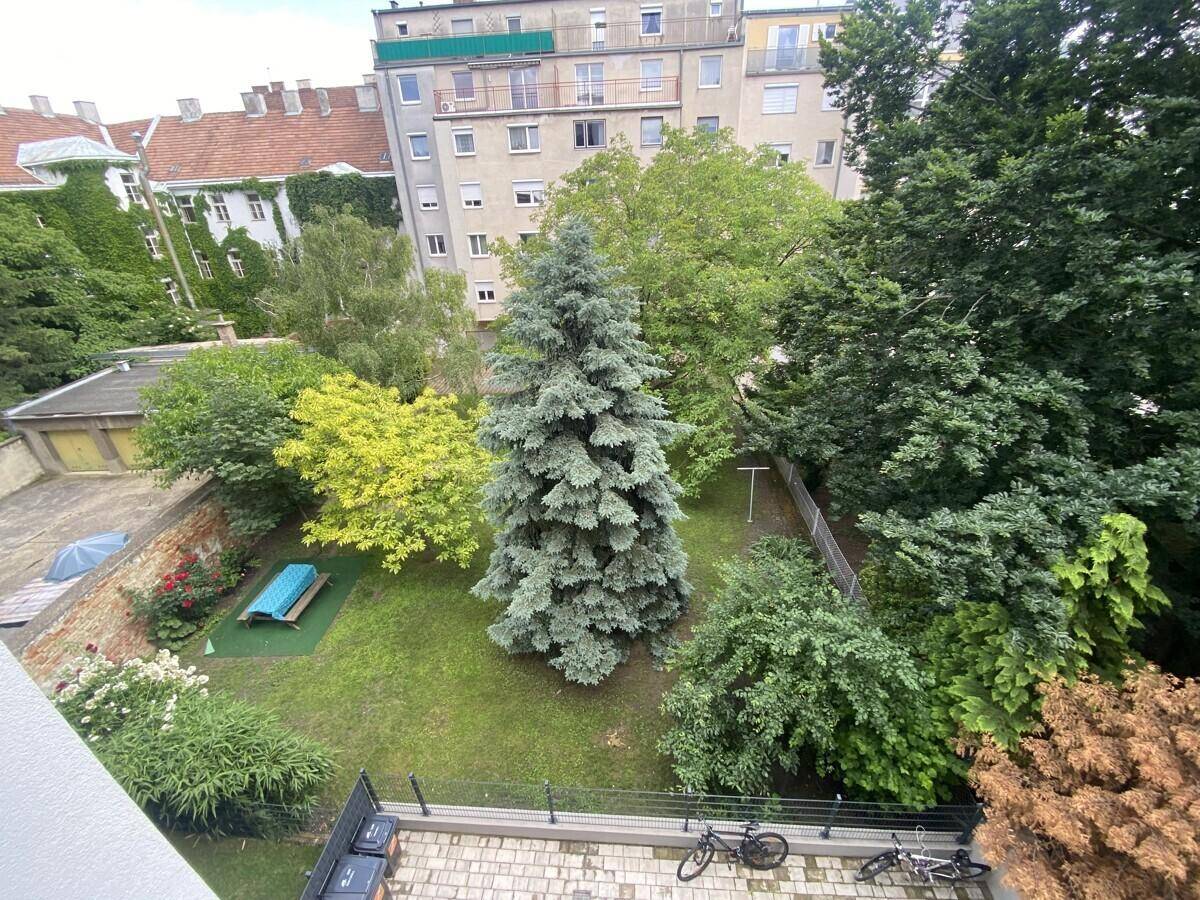 Grünblick