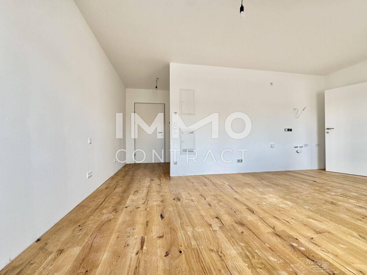 Zimmer_1