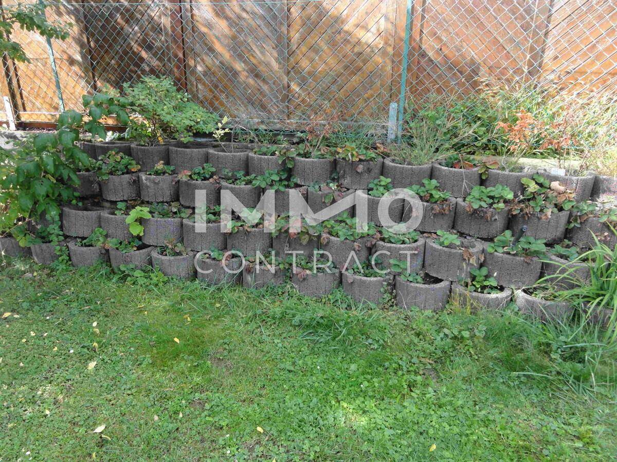 Die Erdbeerplantage