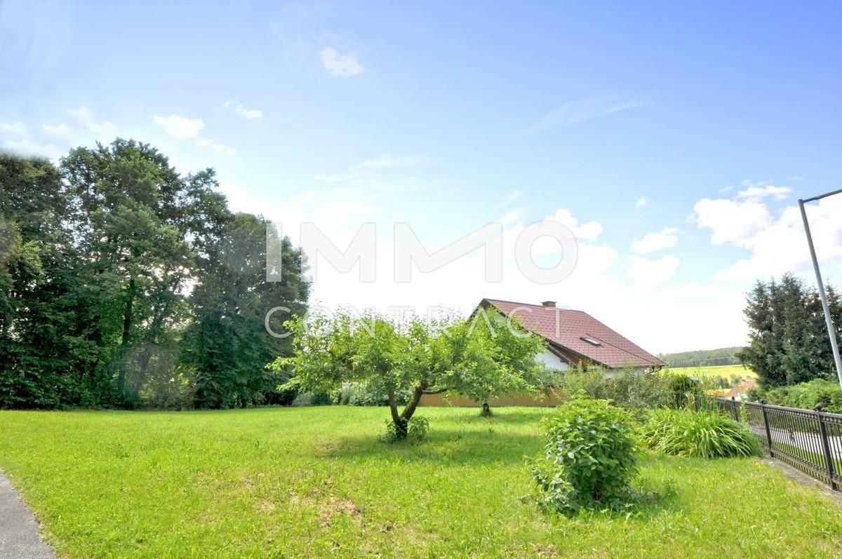 Eingezäunte Wiese vor dem Haus