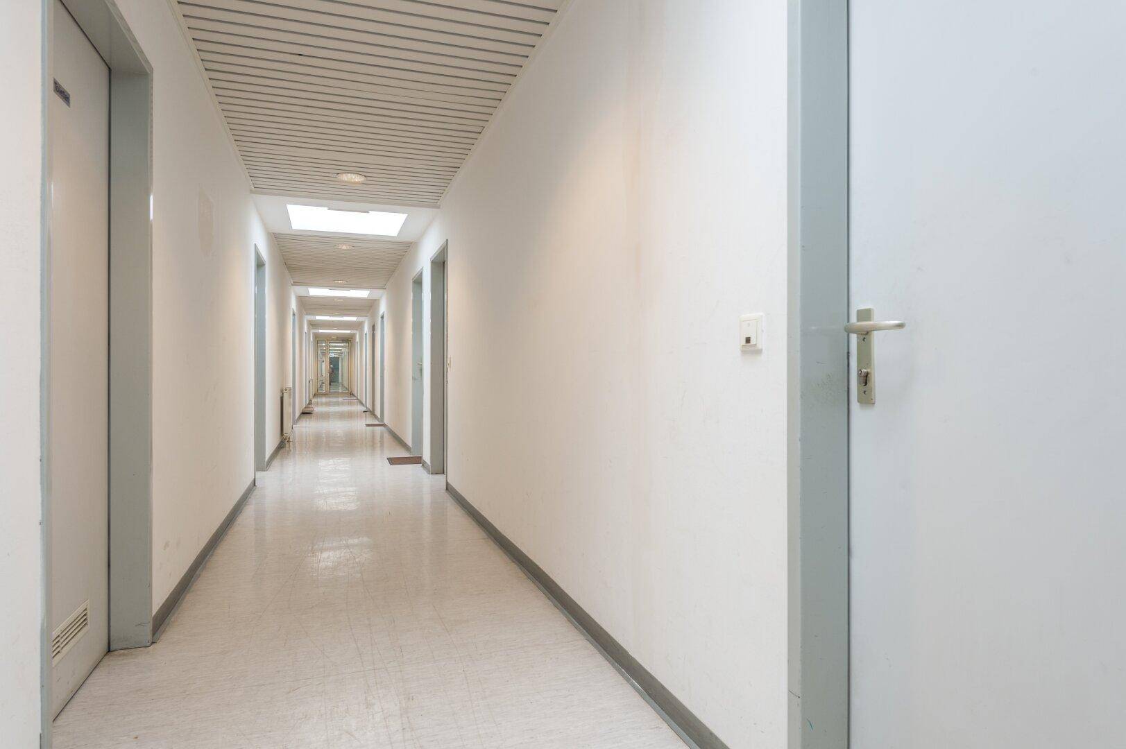 Langer, sauberer Flur mit vielen Türen, einer Lamellendecke und Oberlichtern für Helligkeit.