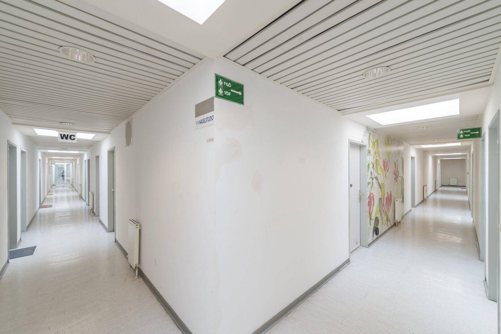 Langer, heller Flur in einem Bürogebäude mit vielen Türen und einer modernen Lamellendecke.