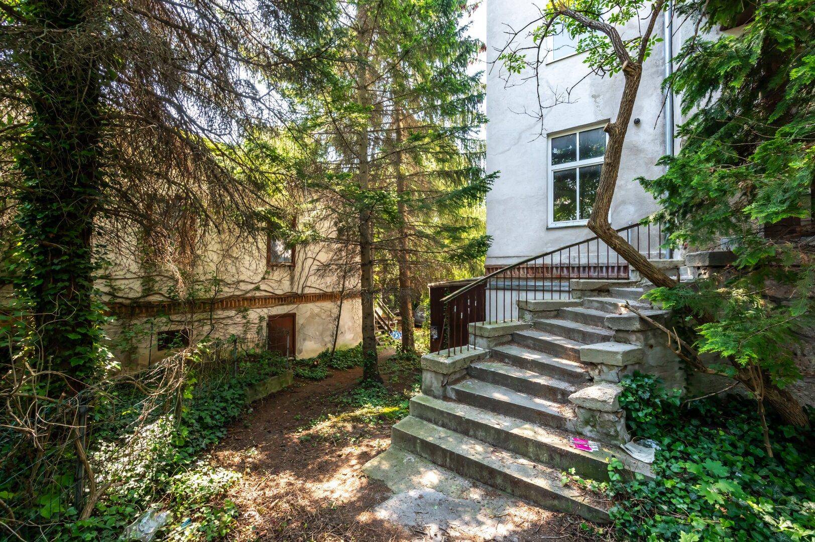 Seitenansicht eines alten Hauses mit bewachsenen Wänden und hohen Bäumen im Gartenbereich.
