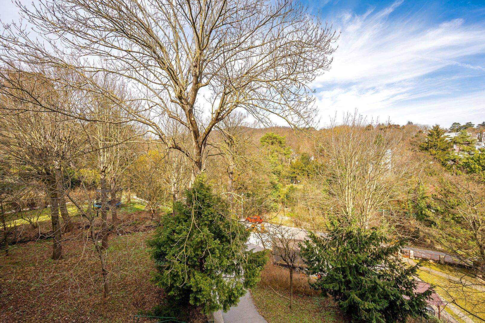 Weitläufiger Blick über eine grüne Landschaft mit vielen Bäumen und einigen Gebäuden im Hintergrund.