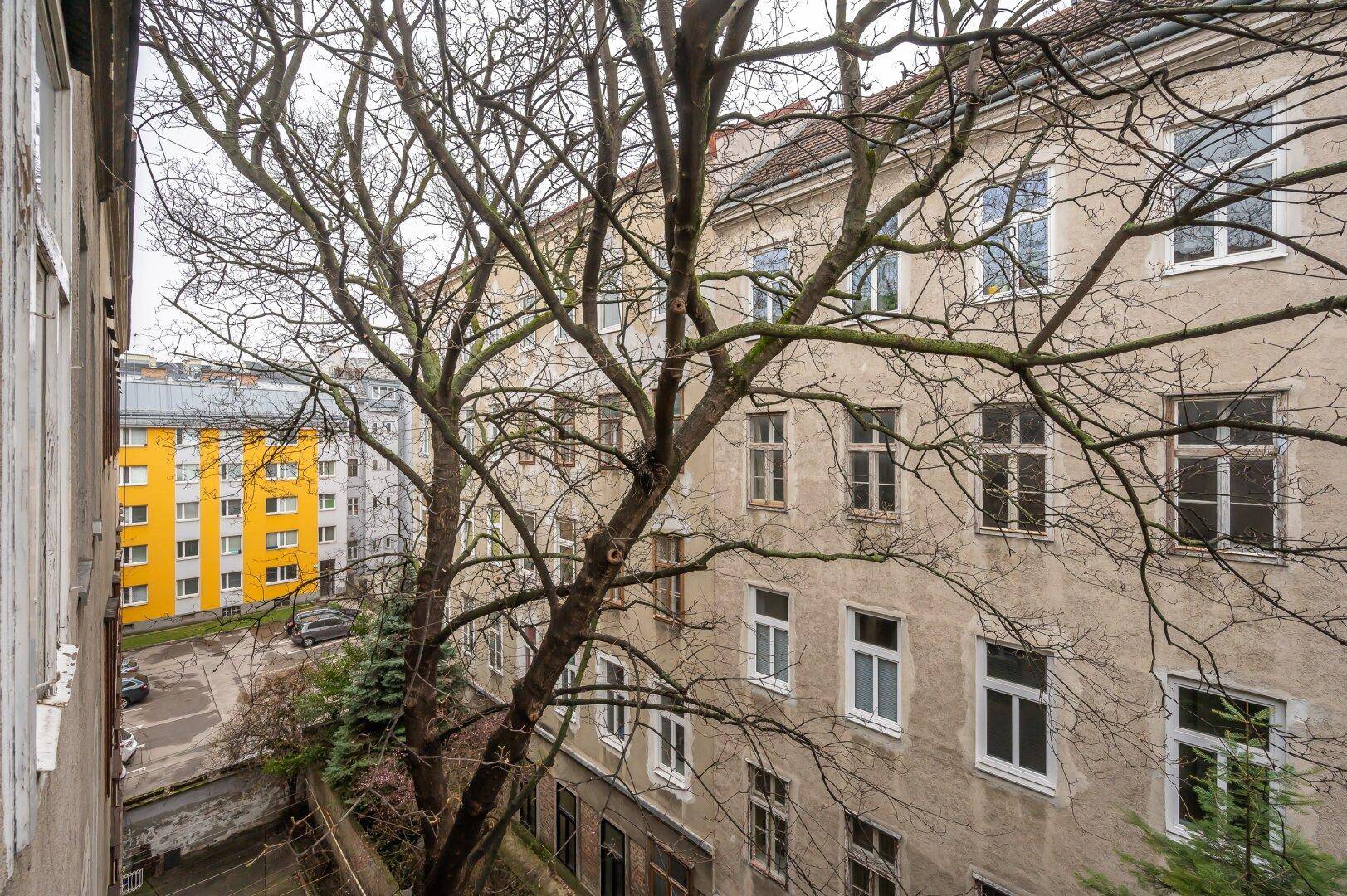 Blick aus dem Fenster auf einen Innenhof mit Bäumen und umliegenden Altbauten.