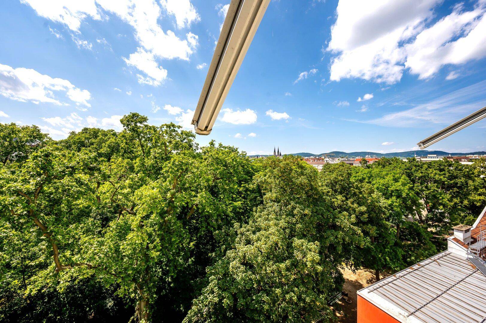 Weitblick über grüne Baumwipfel bis zur Stadtkulisse unter strahlend blauem Himmel.