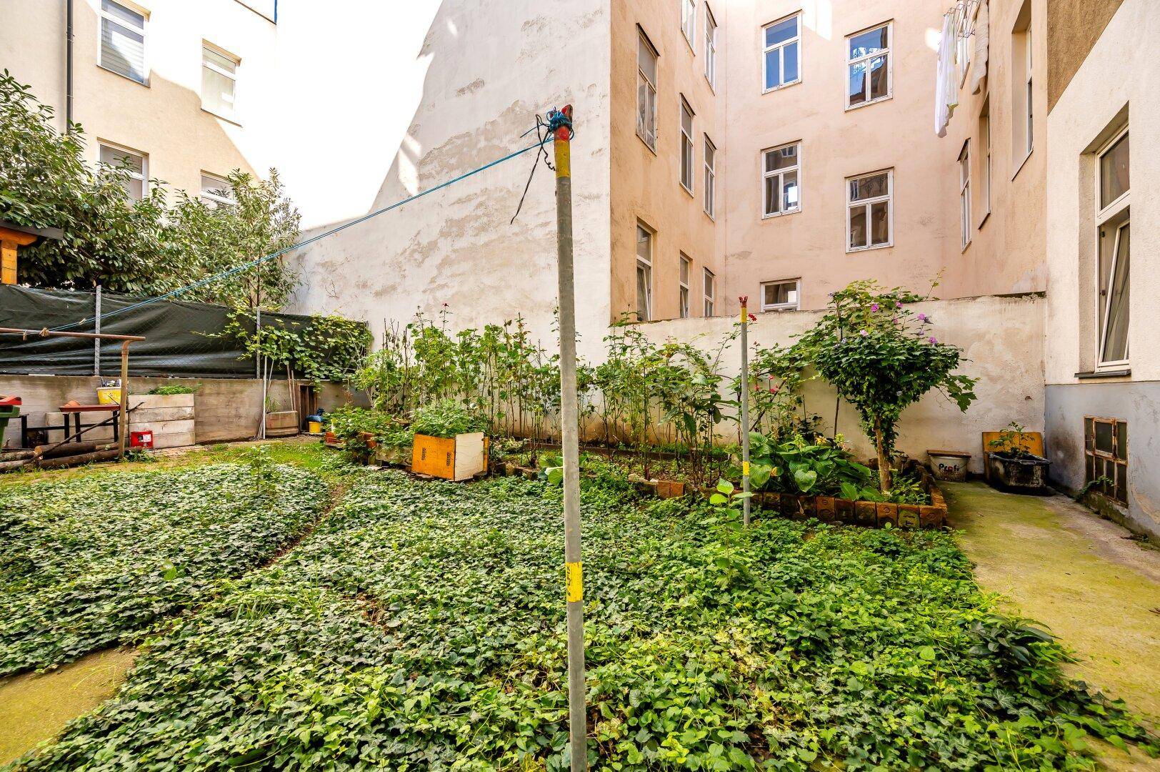 Hinterhofgarten mit verschiedenen Pflanzen und Grünflächen, umgeben von Gebäuden.