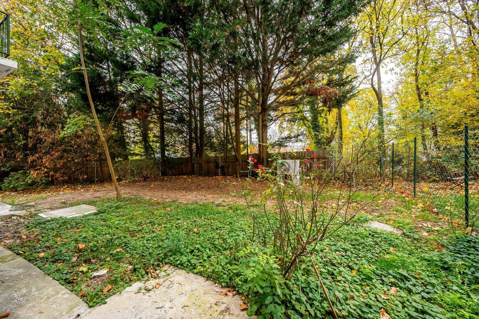 Naturbelassener Gartenbereich mit altem Baumbestand und viel Grün.