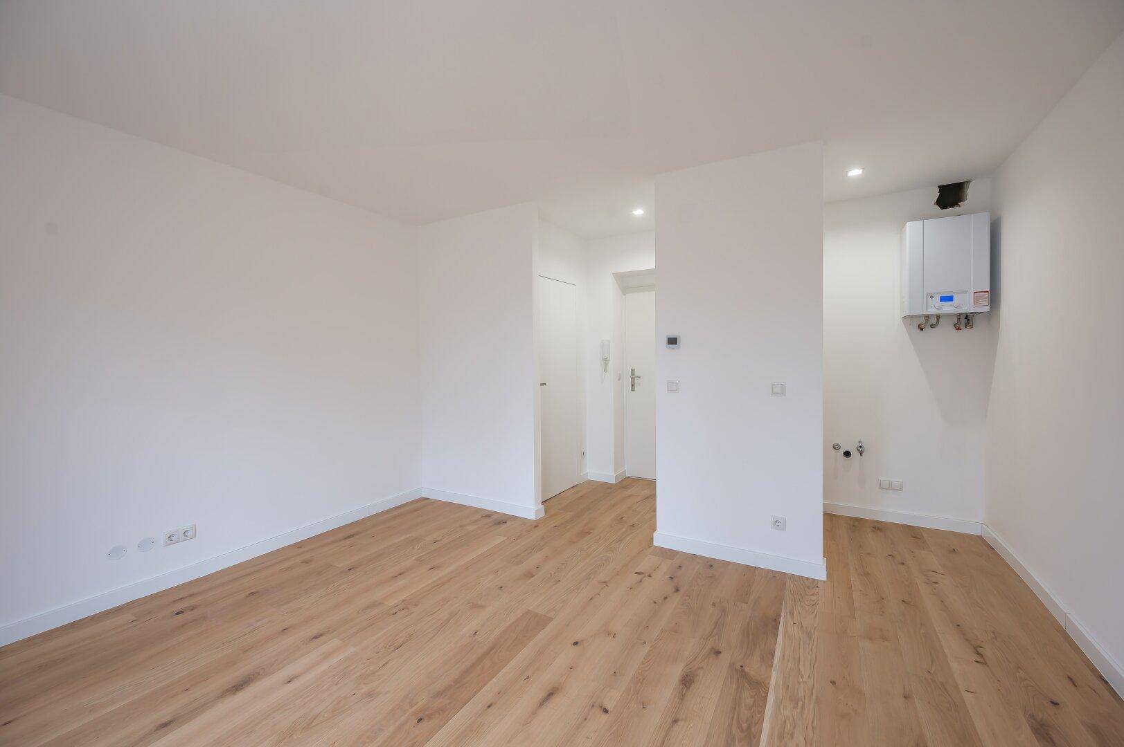 Heller Eingangsbereich mit Holzboden und einem an der Wand montierten Warmwasserbereiter.