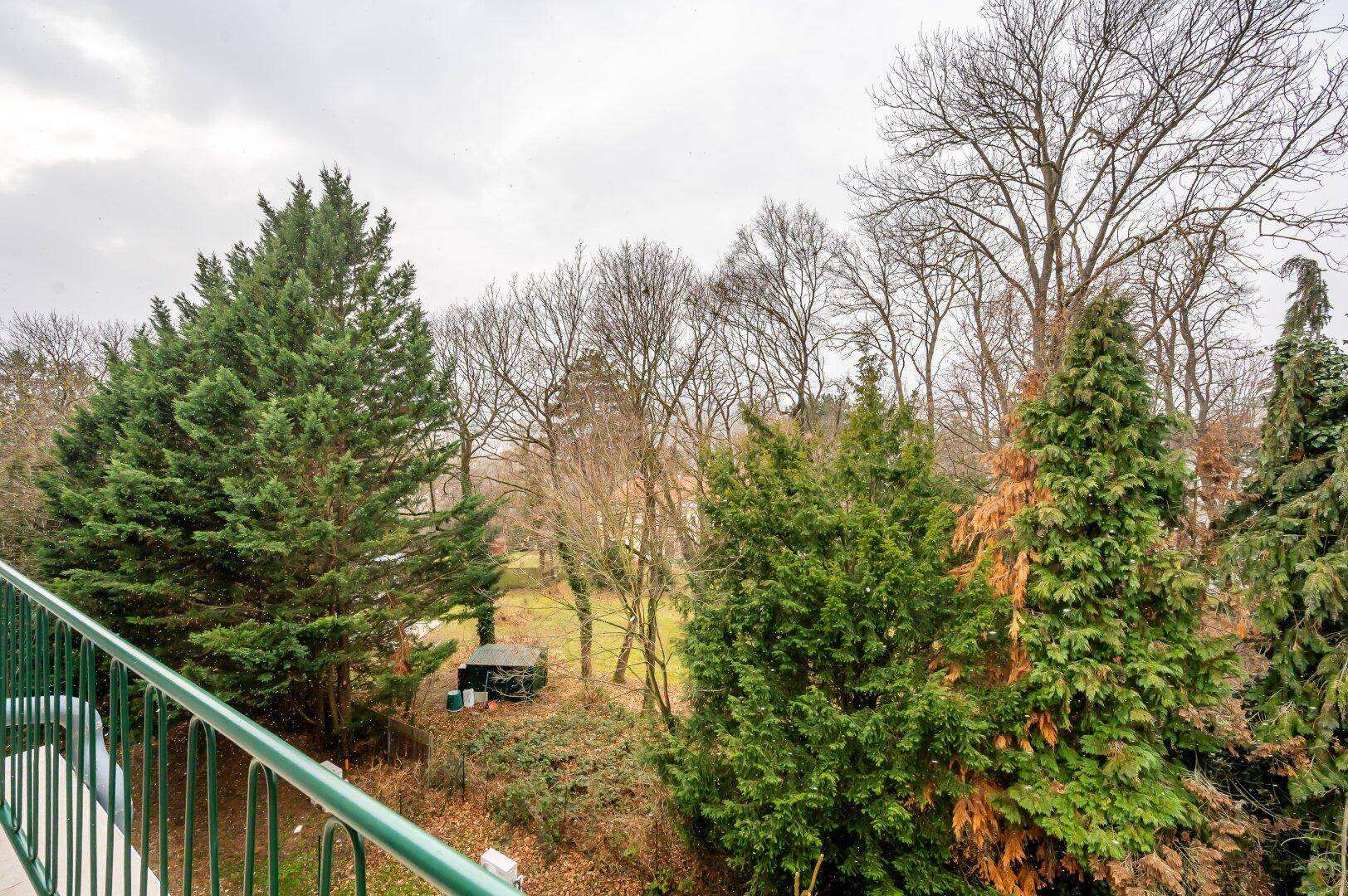 Weitläufiger Blick vom Balkon auf einen großen Garten mit hohen Bäumen.