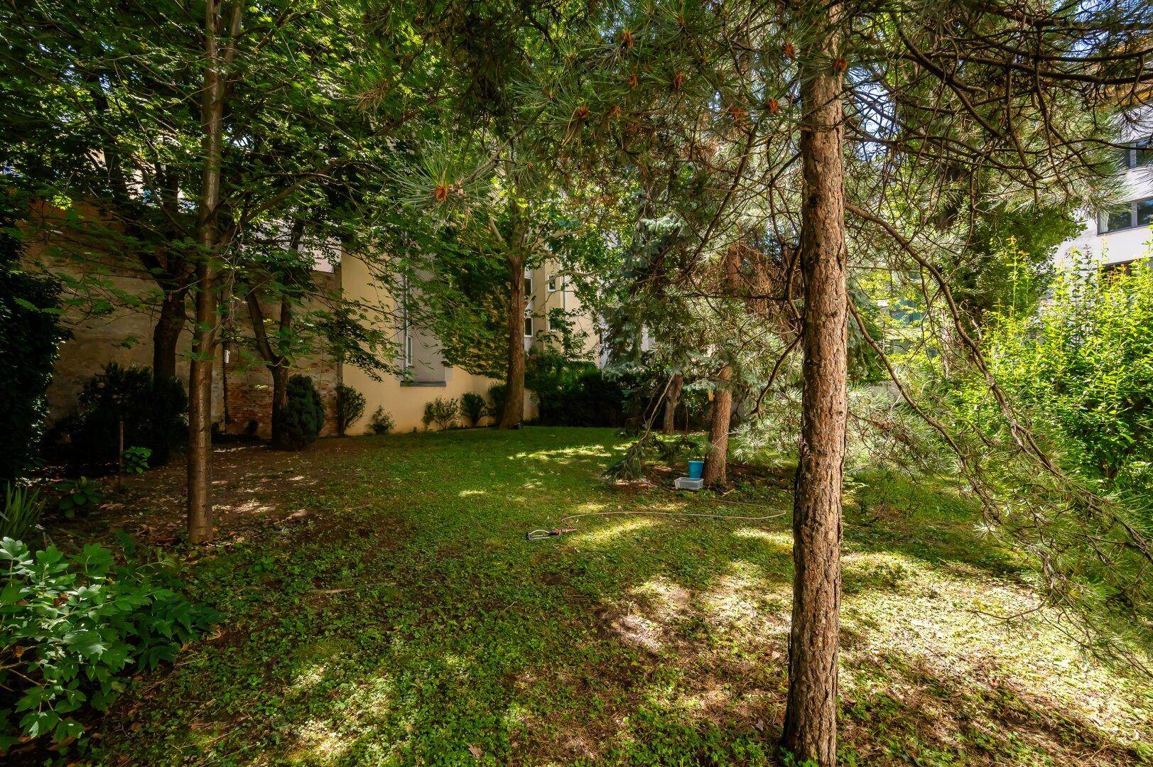 Grüne Gartenfläche mit Bäumen und Rasen, ideal zur Erholung im Freien.