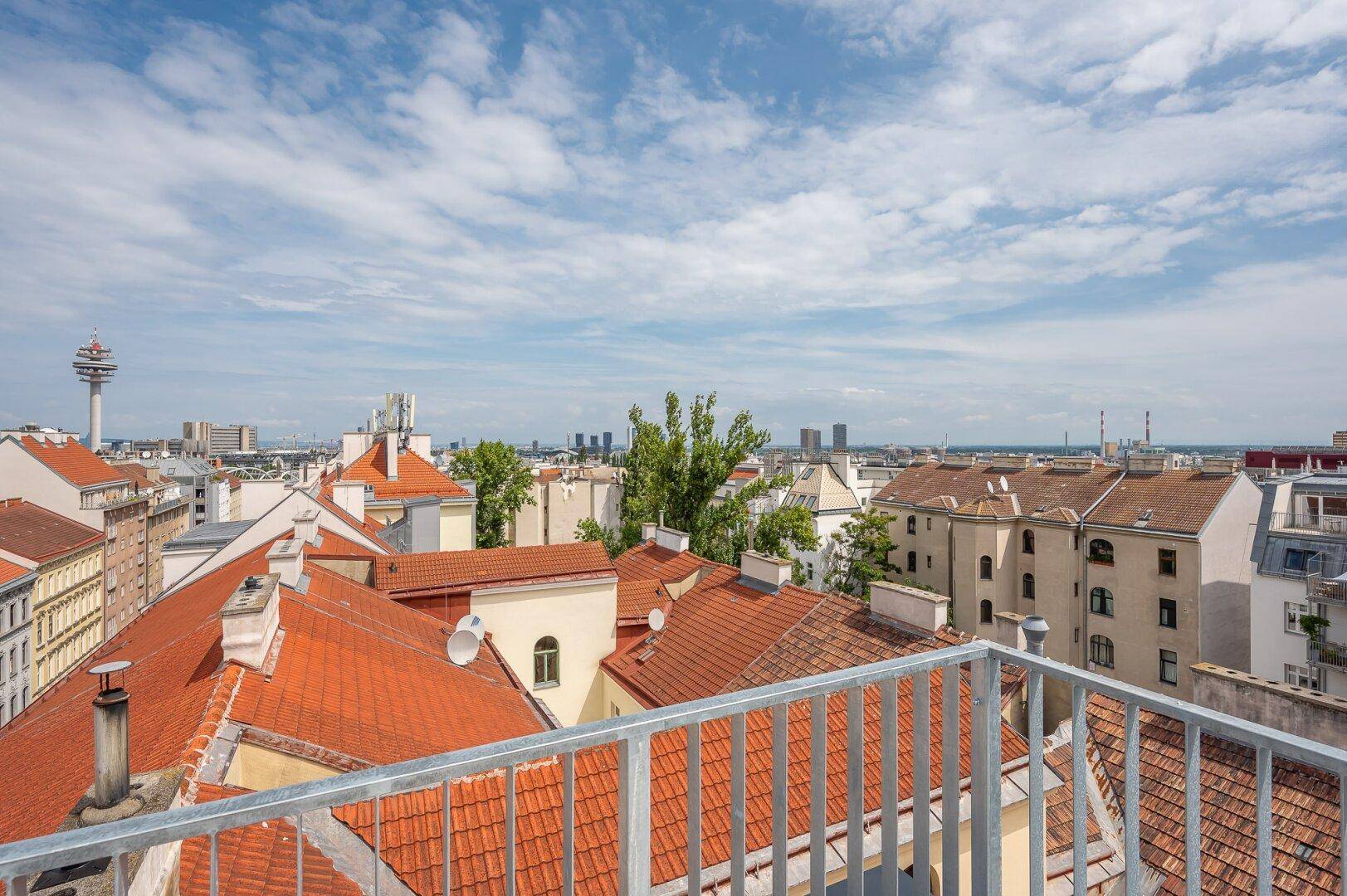 Weitläufiger Blick über die Dächer der Stadt mit grünen Bäumen im Hintergrund.
