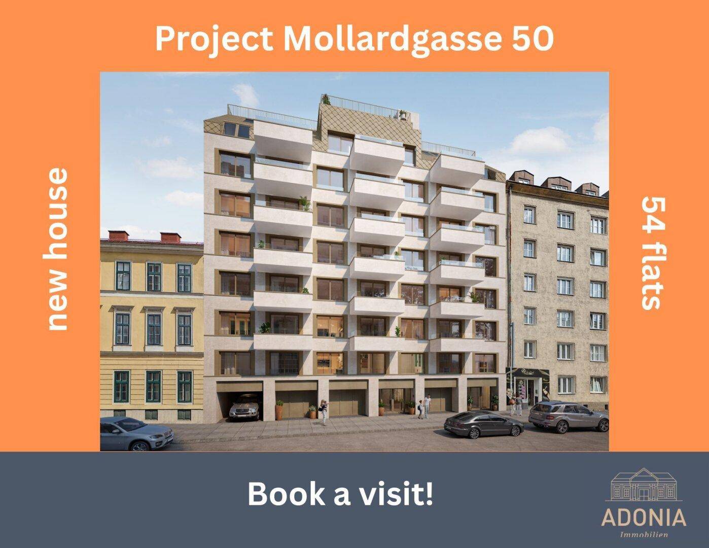 Slide 5