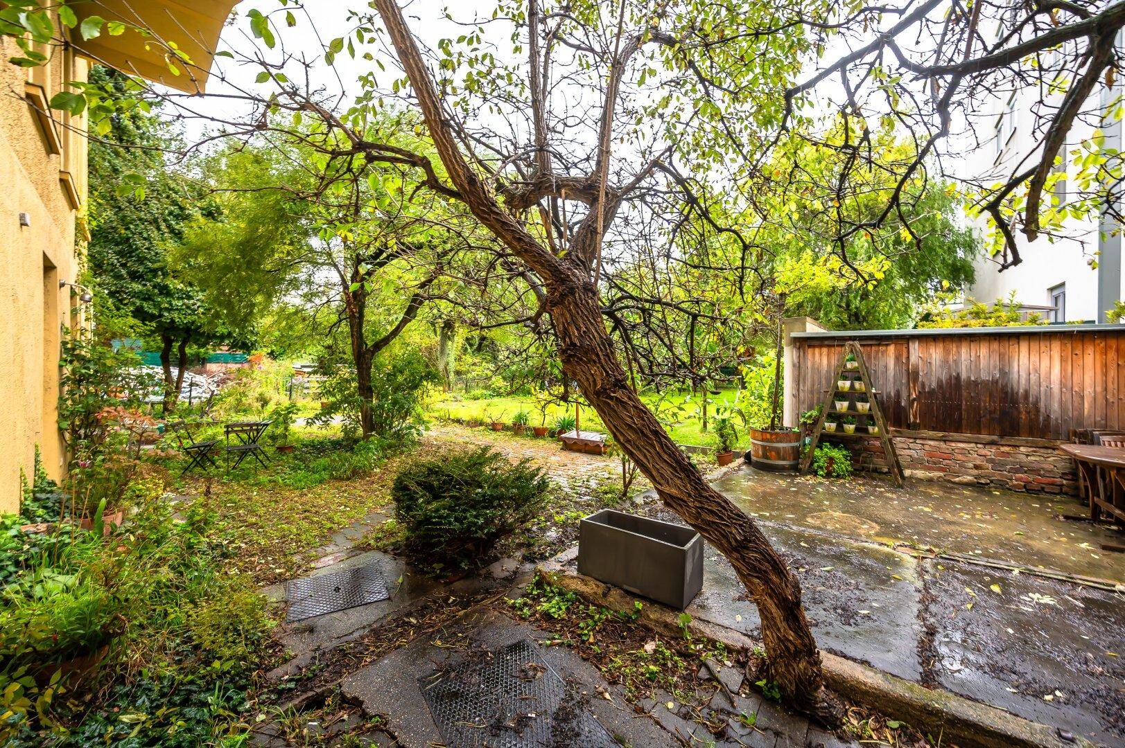 Naturbelassener Gartenbereich mit Bäumen, Sträuchern und einem kleinen Sitzbereich.