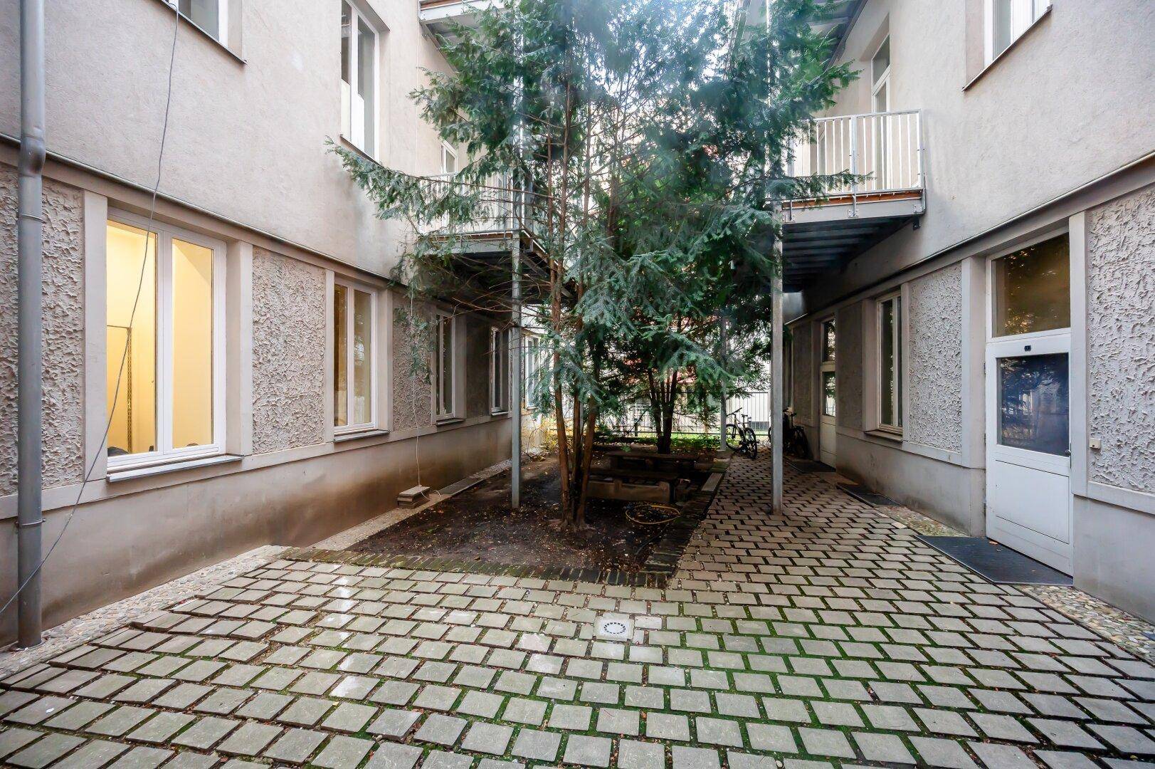 Gepflasterter Innenhof mit einem Baum in der Mitte, umgeben von Gebäuden und Fenstern.
