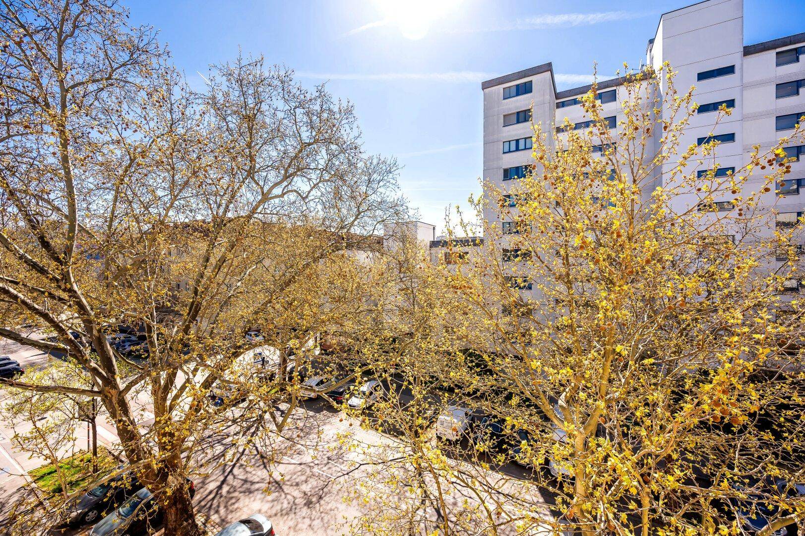 Sonniger Ausblick von einem Balkon auf Bäume und umliegende Gebäude in der Stadt.