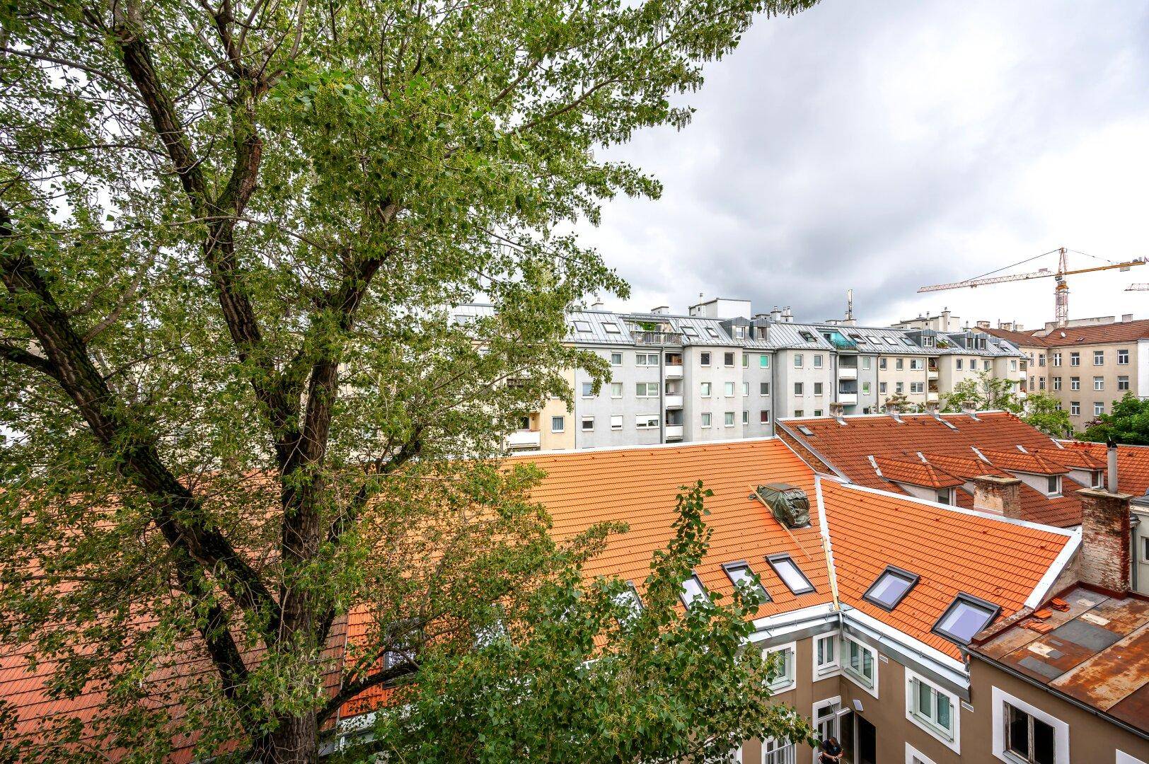 Ausblick über Dächer, Bäume und städtische Gebäude mit Baukränen am Horizont.