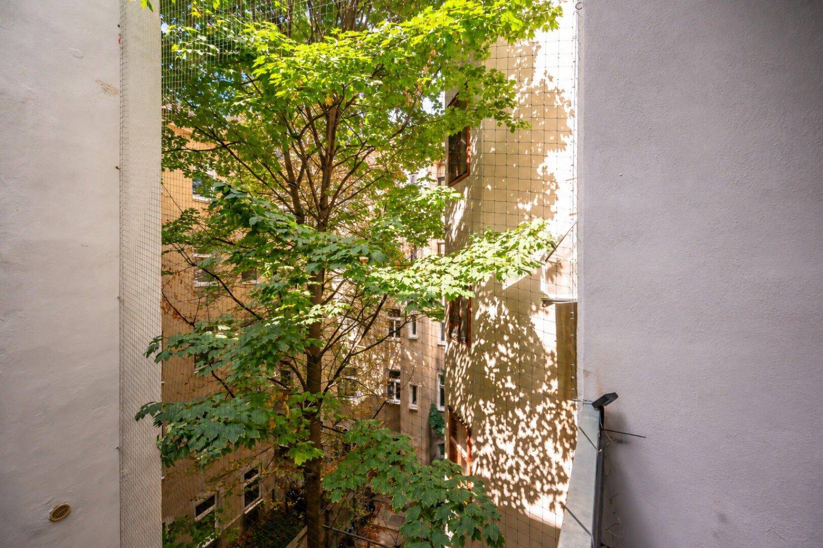 Blick in den grünen Innenhof mit einem großen Baum, der Schatten auf die umliegenden Gebäude wirft.