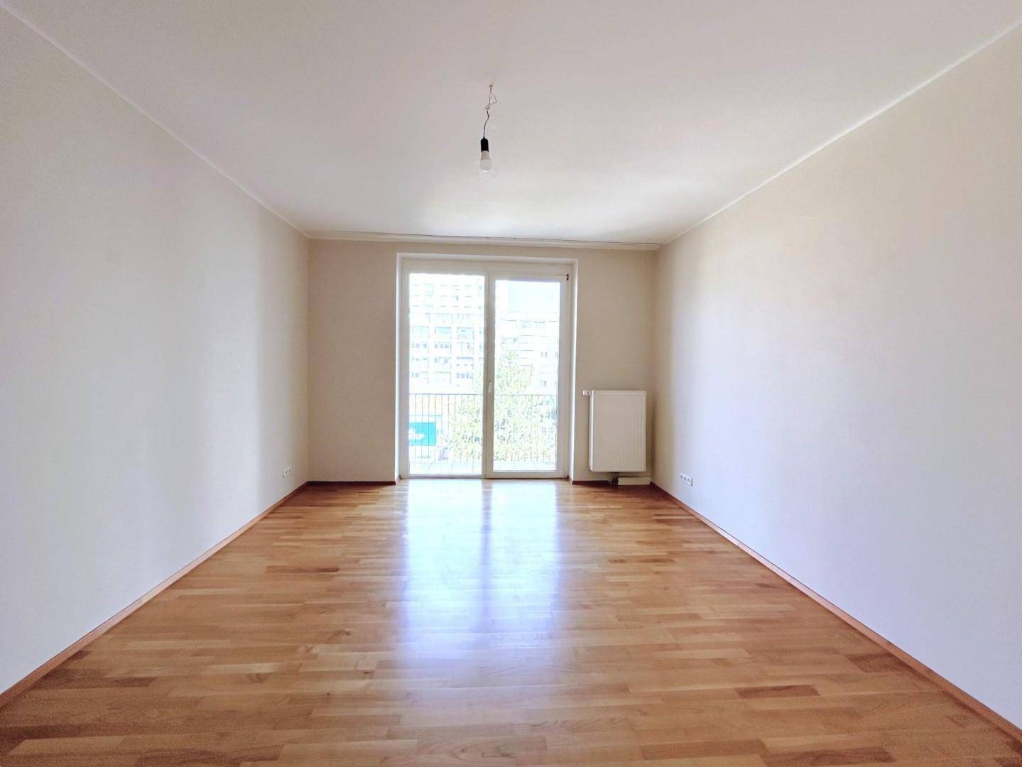 Zimmer3