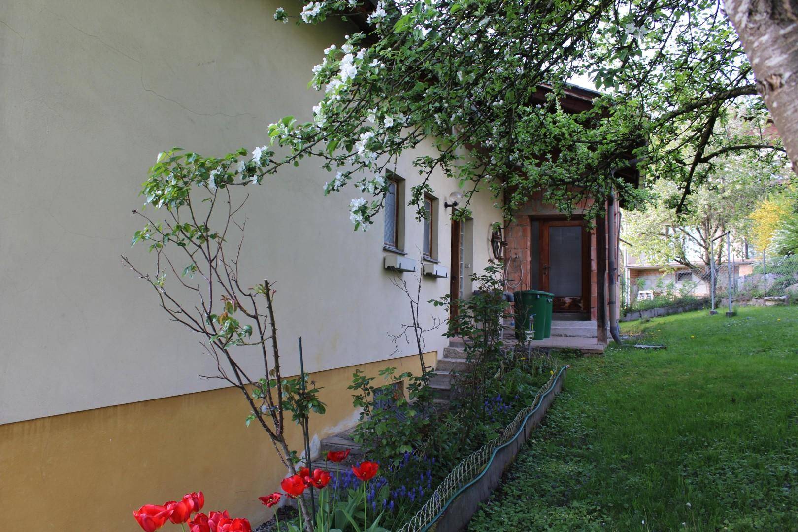 Gartenbereich neben dem Haus mit blühenden Blumen und einem Baum im Frühling.