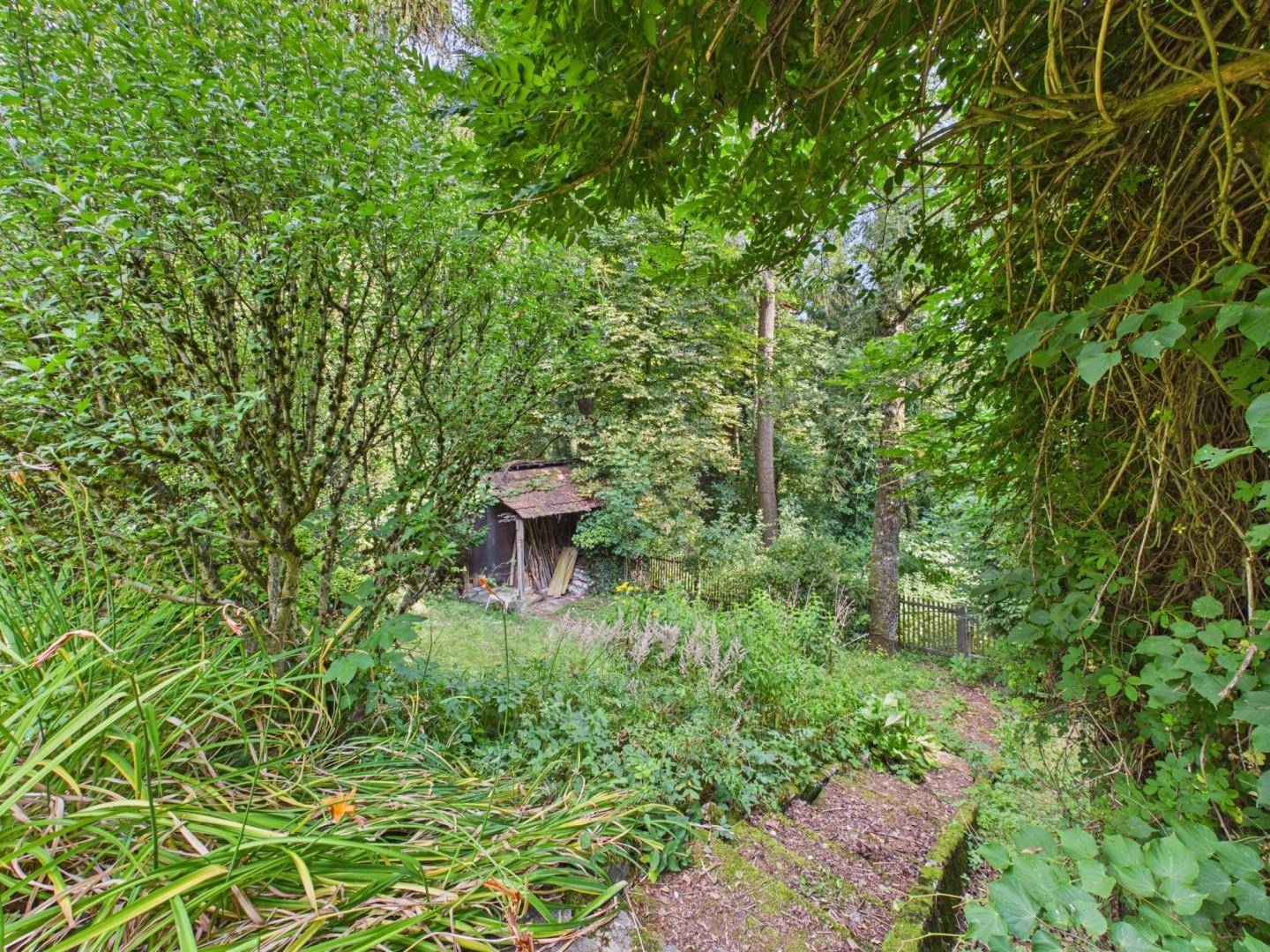 Naturbelassener Gartenbereich mit Gartenhaus und dichtem Baumbestand, ideal zum Entspannen.
