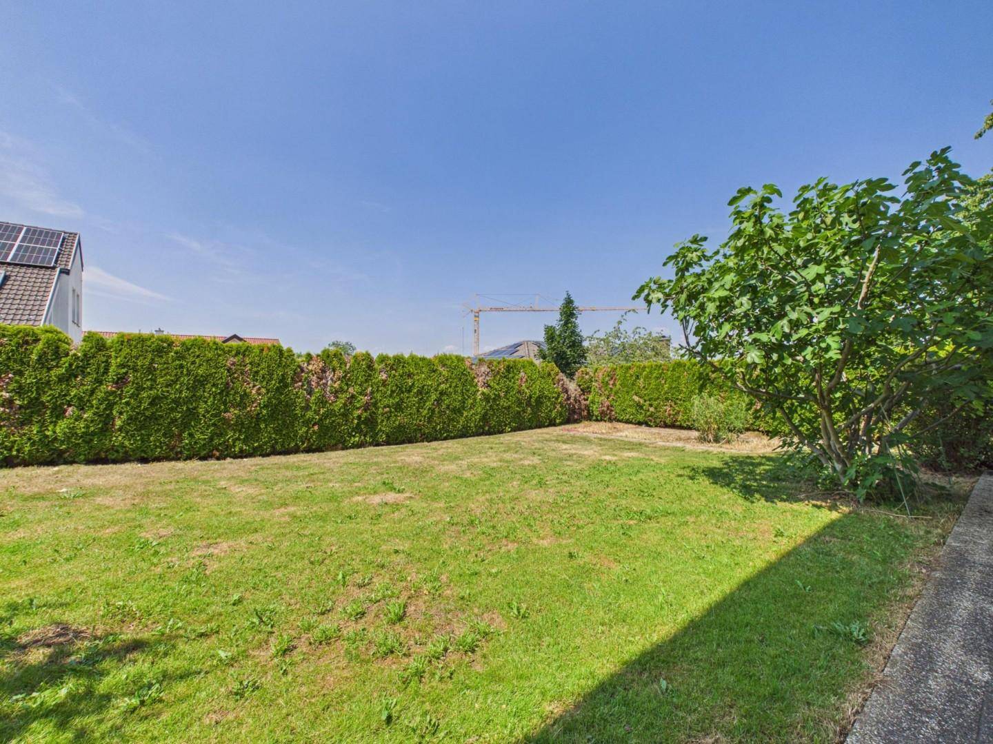 Großer, gepflegter Gartenbereich mit Rasenfläche und hohen Hecken als Sichtschutz.