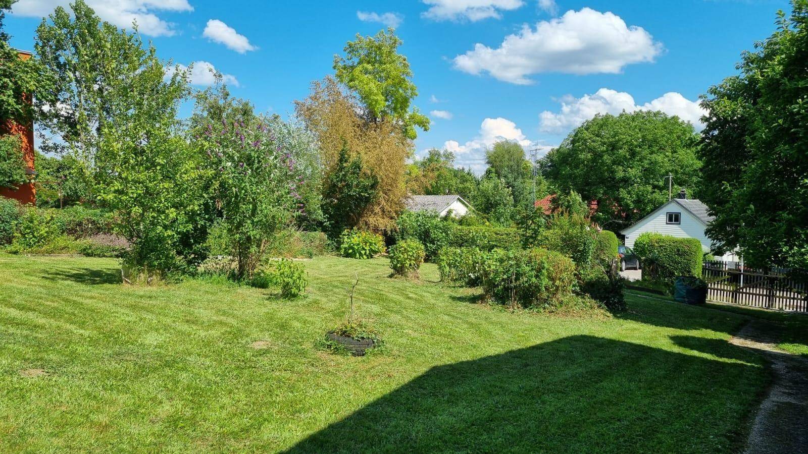 Sonniger Garten mit großer Rasenfläche, üppiger Bepflanzung und Blick auf umliegende Häuser.