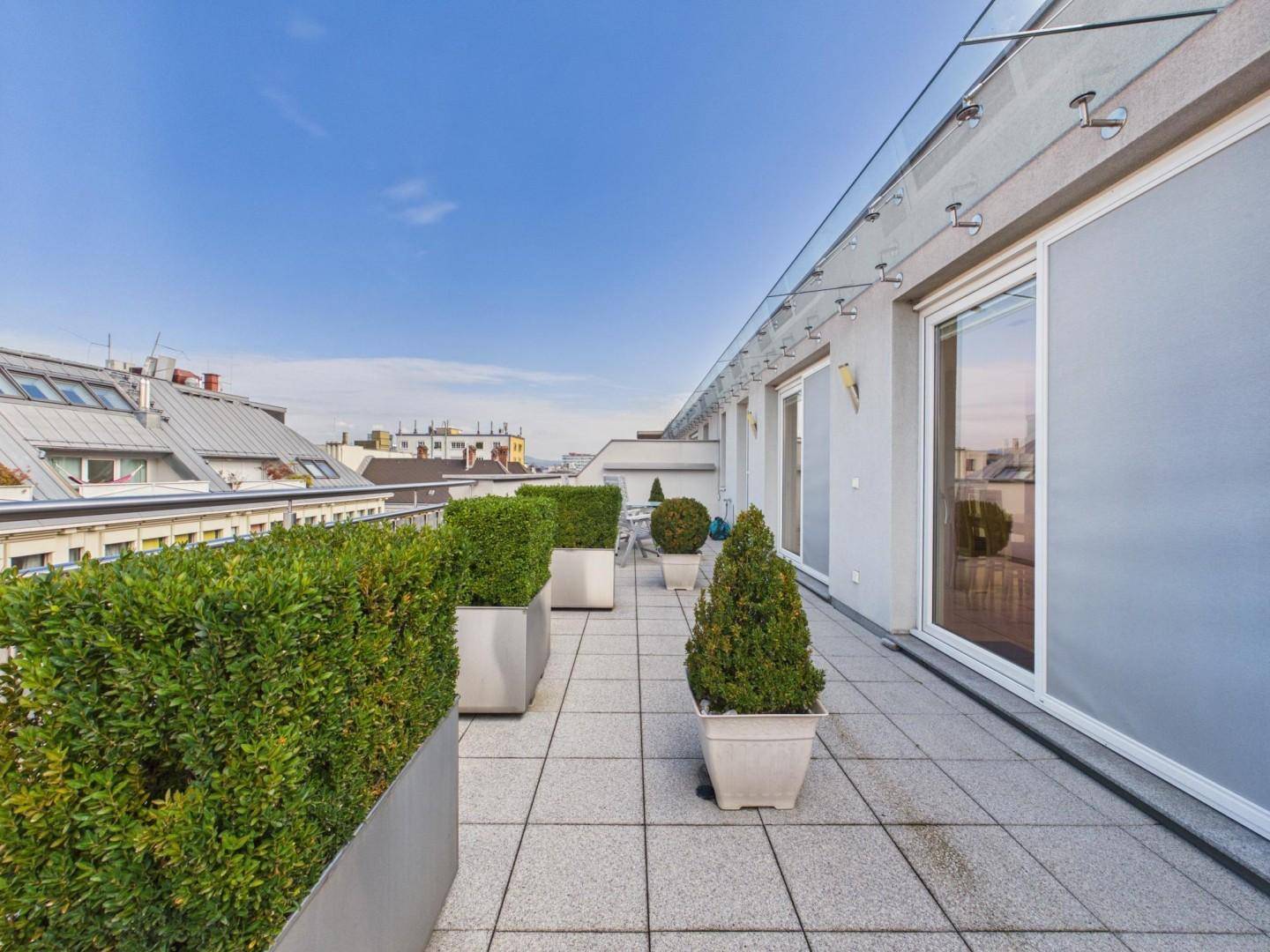 Weitläufige Dachterrasse mit grünen Pflanzen in modernen Pflanzkübeln und Stadtblick.
