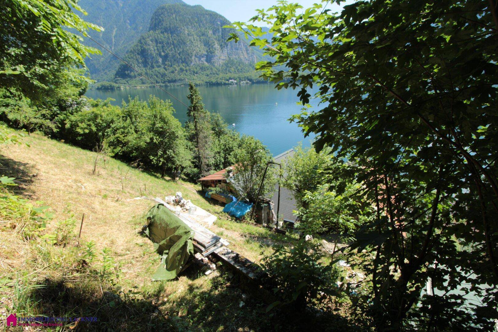 Bewachsener Hang mit Blick auf den See und die umliegende Naturlandschaft.