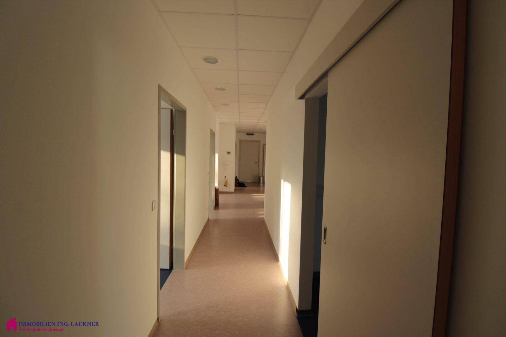 Langer, heller Flur mit Türen zu verschiedenen Räumen, durchflutet von Sonnenlicht.