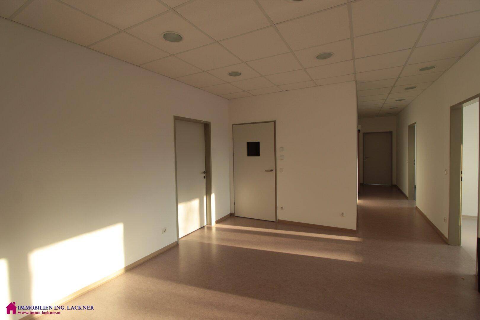 Geräumiges Büro mit hellem Boden und Türen zu weiteren Räumen, durchflutet von Sonnenlicht.