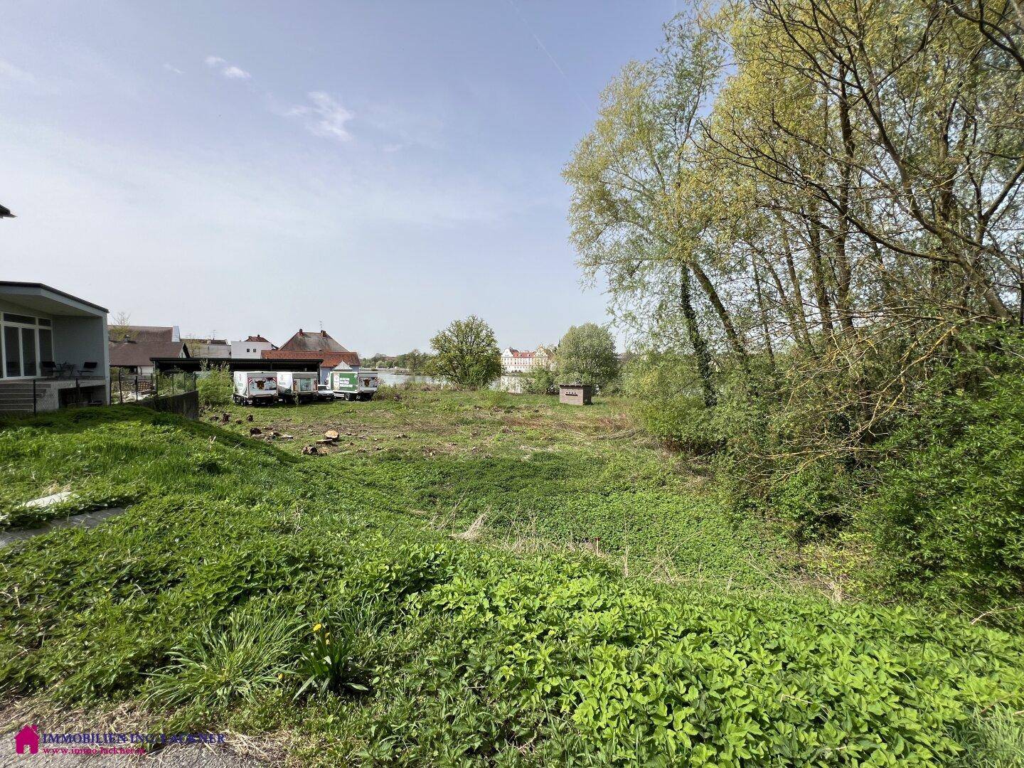 Verwildertes Grundstück mit üppigem Grün, Bäumen und einem Gewässer im Hintergrund.