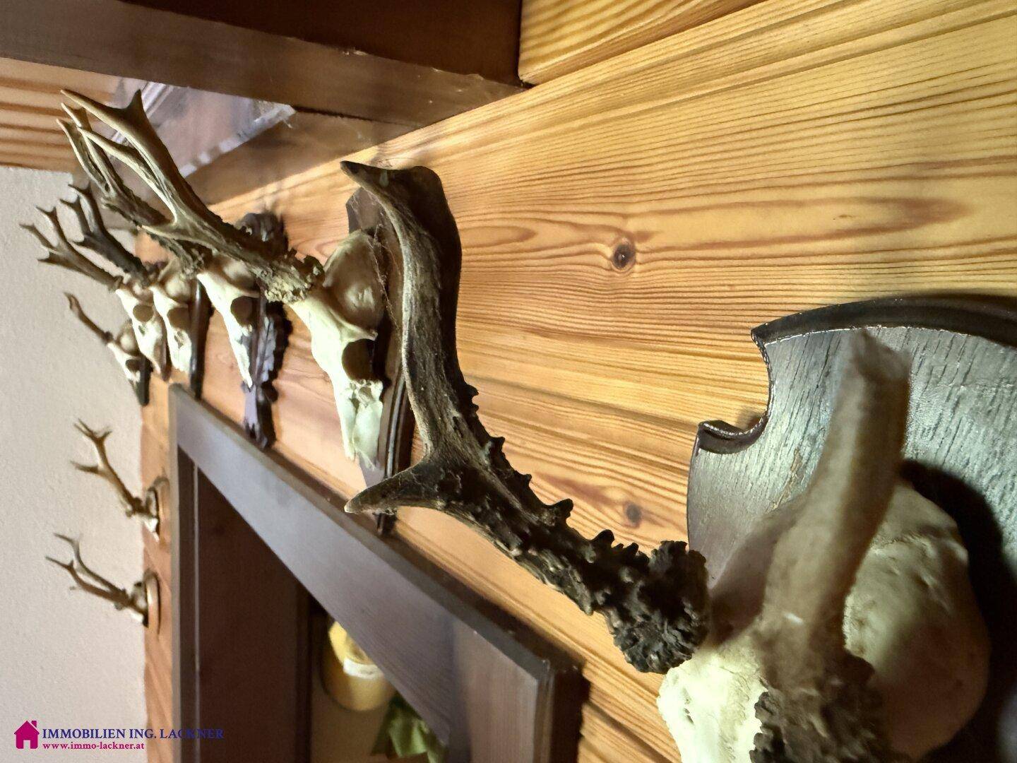 Nahaufnahme von traditionellen Hirschgeweihen als Dekoration an einer Holzwand.