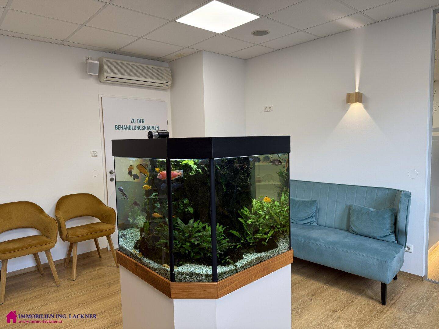 Einladender Wartebereich mit großem Aquarium, bequemen Sitzgelegenheiten und Klimaanlage.