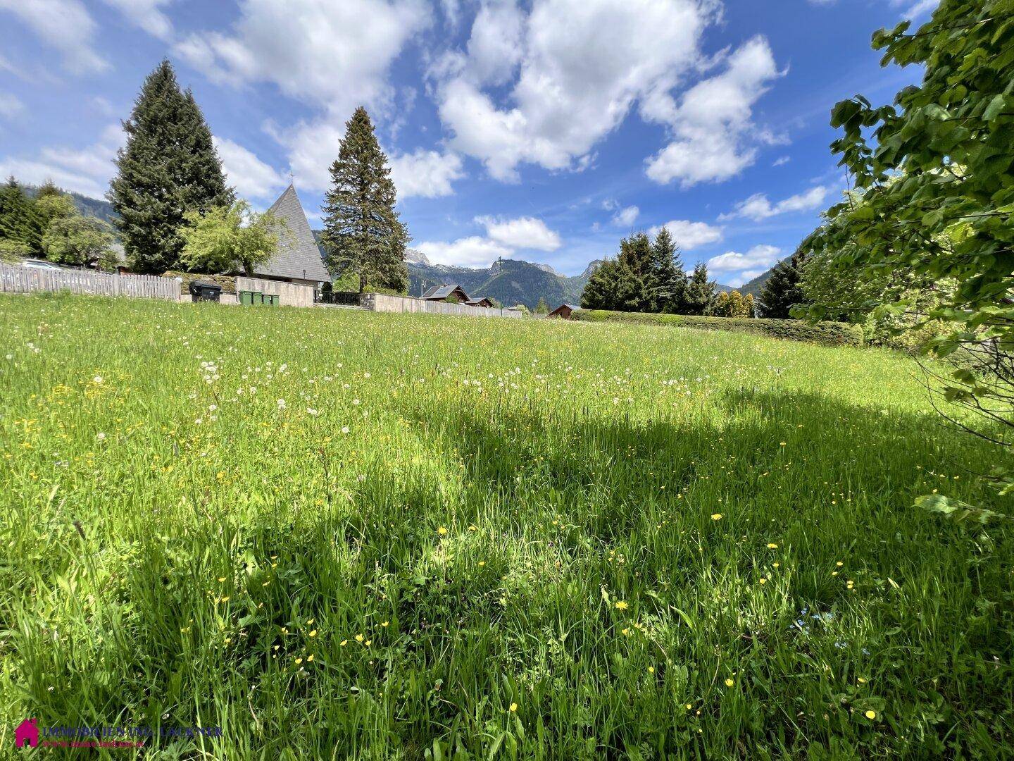 Weitläufige grüne Wiese unter blauem Himmel mit Blick auf die Alpen und vereinzelte Häuser.