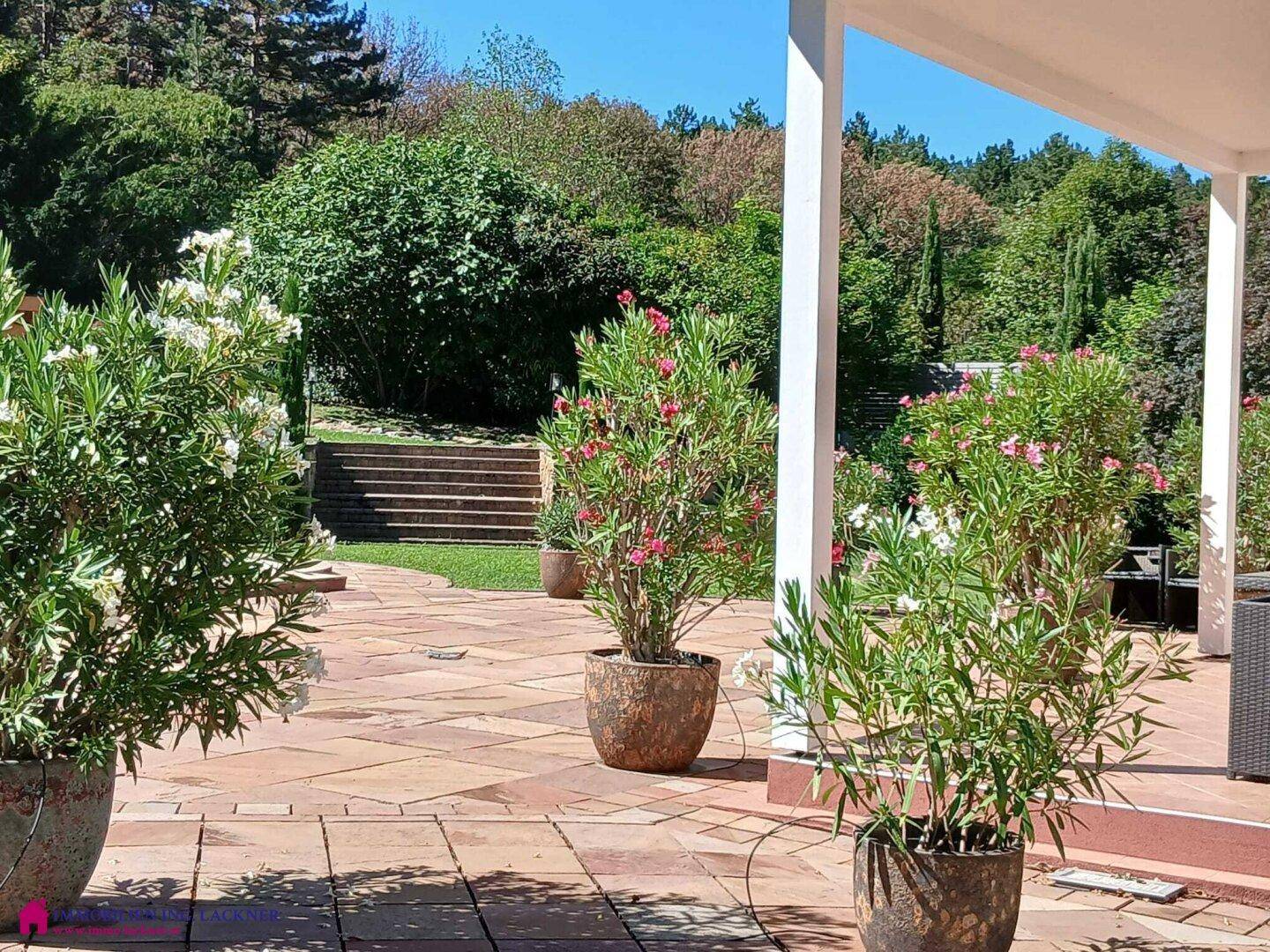 Sonniger Terrassenbereich mit mediterranen Pflanzen und Blick ins Grüne, ideal zum Entspannen.
