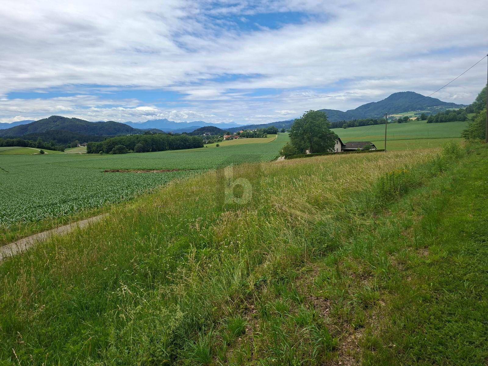 Idyllische Landschaft mit grünen Feldern, einem abgelegenen Haus und Bergen im Hintergrund.