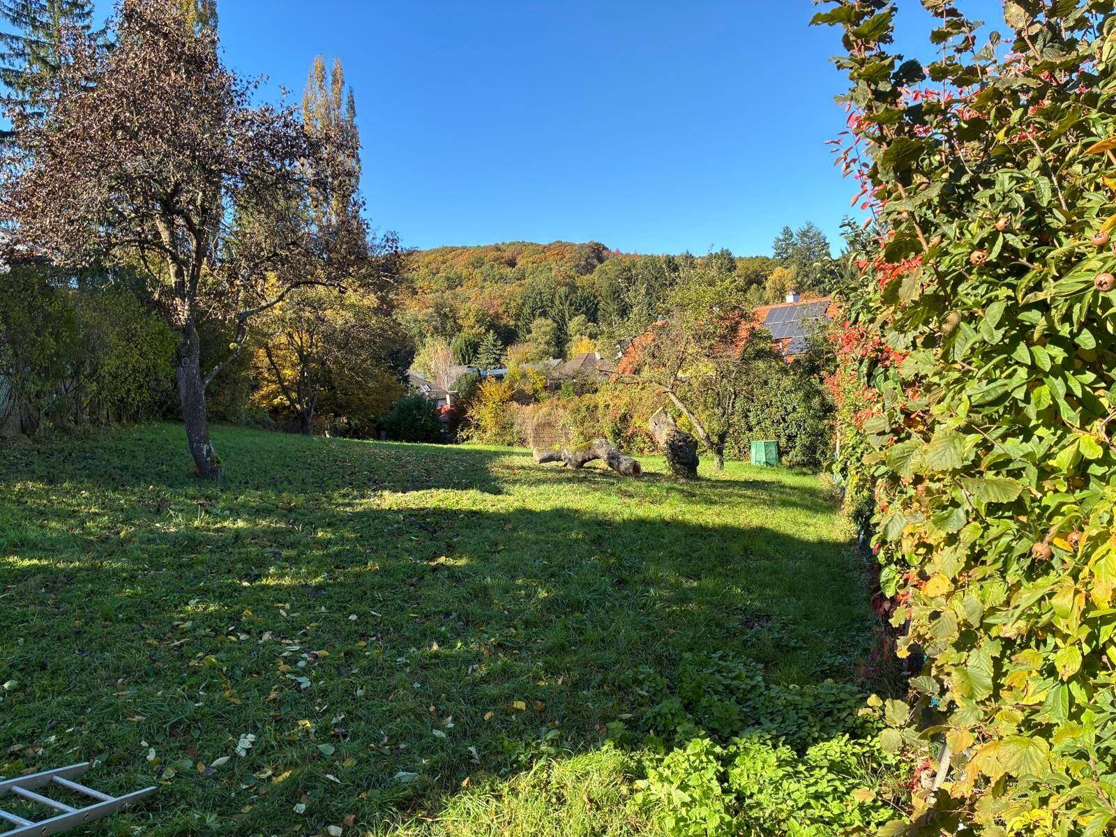 HERRLICH MIT BERG- UND WALDBLICK - Ansicht 3