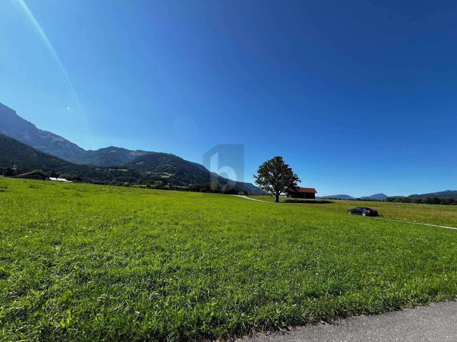 Panoramablick über eine weite grüne Wiese mit Bergen und einem markanten Baum in der Ferne.