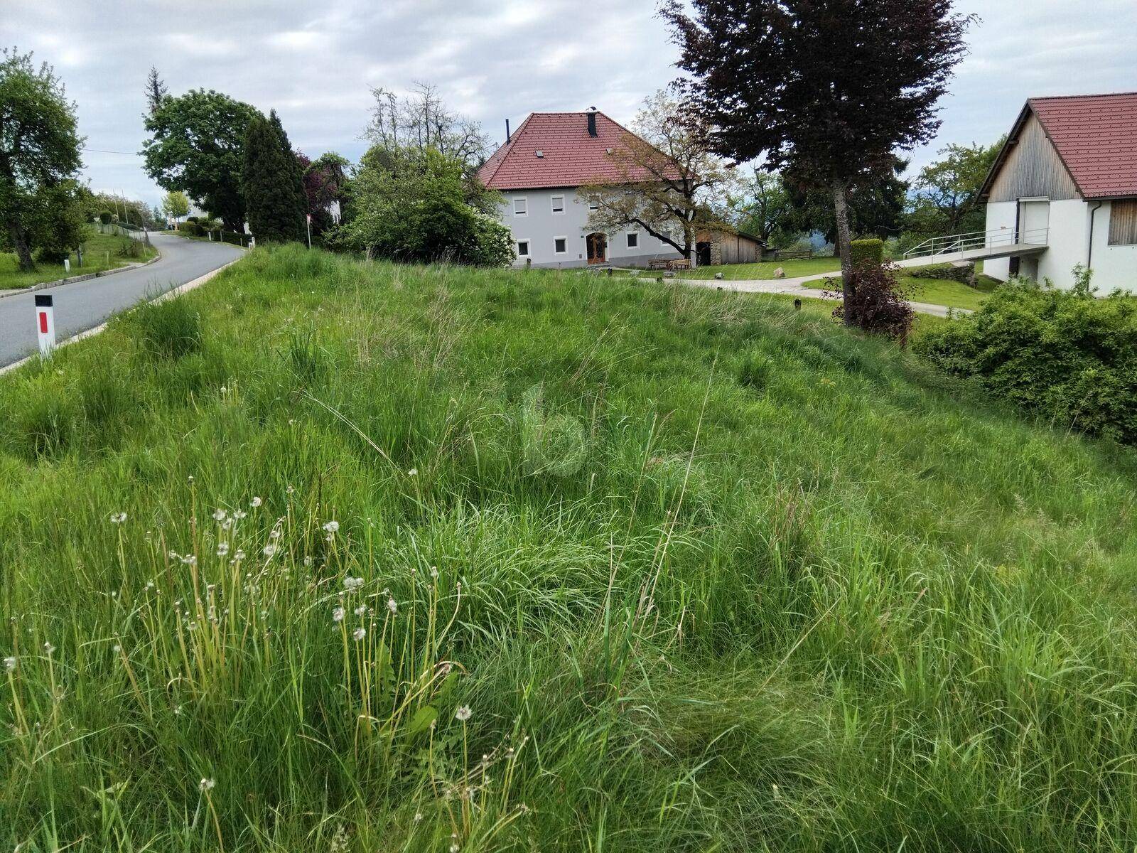 Weitläufiges grünes Grundstück mit Blick auf Wohnhäuser und eine Straße in ländlicher Umgebung.