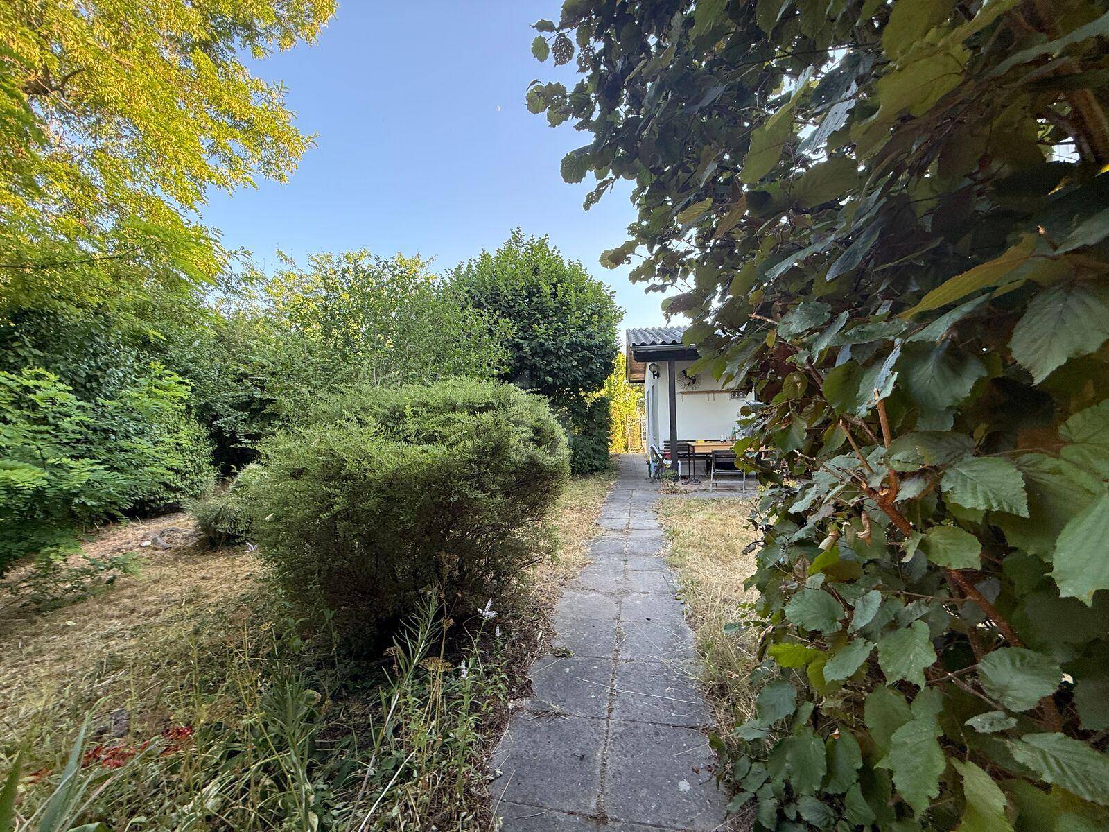 Ein gepflasterter Weg führt durch dichte Vegetation zu einem kleinen Gebäude mit Terrasse.
