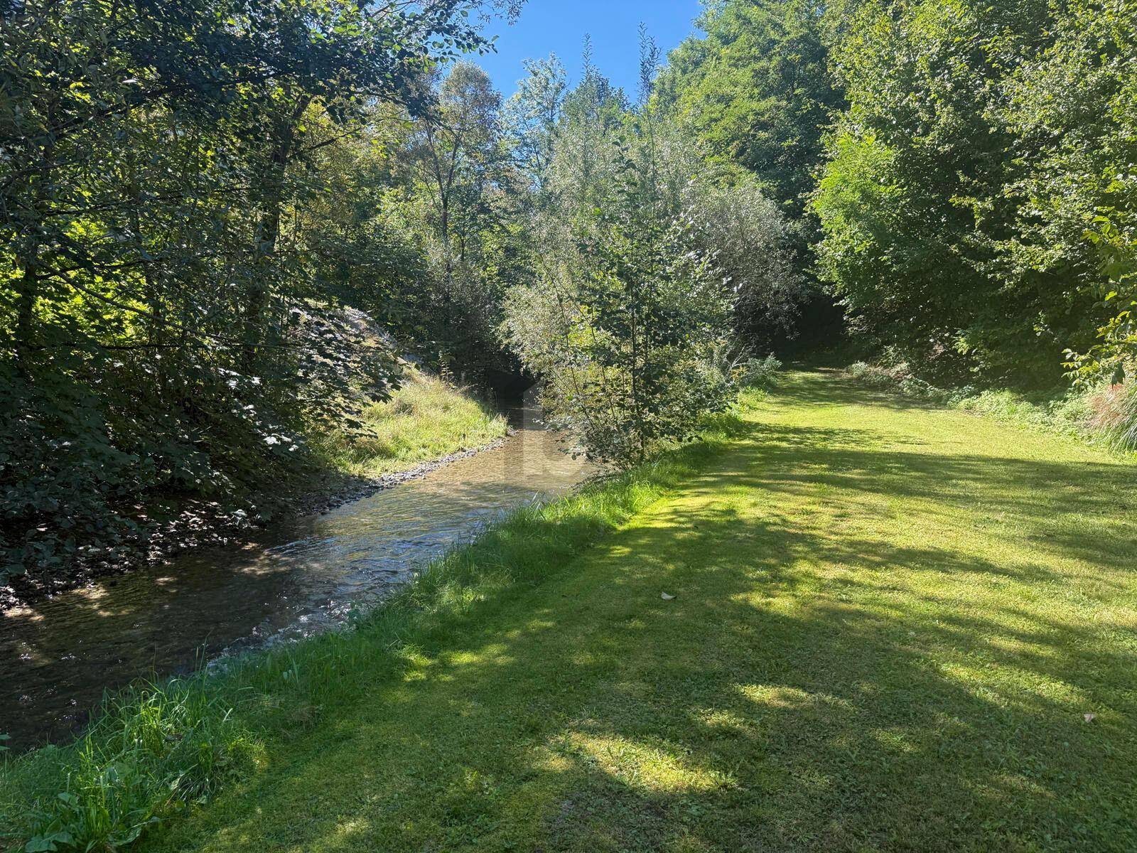 Natürlicher Bachlauf fließt durch eine grüne Wiese, umgeben von dichtem Baumbestand und Vegetation.